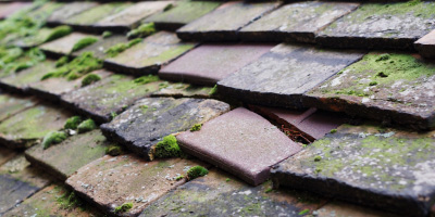 Lower Woodend roof repair costs